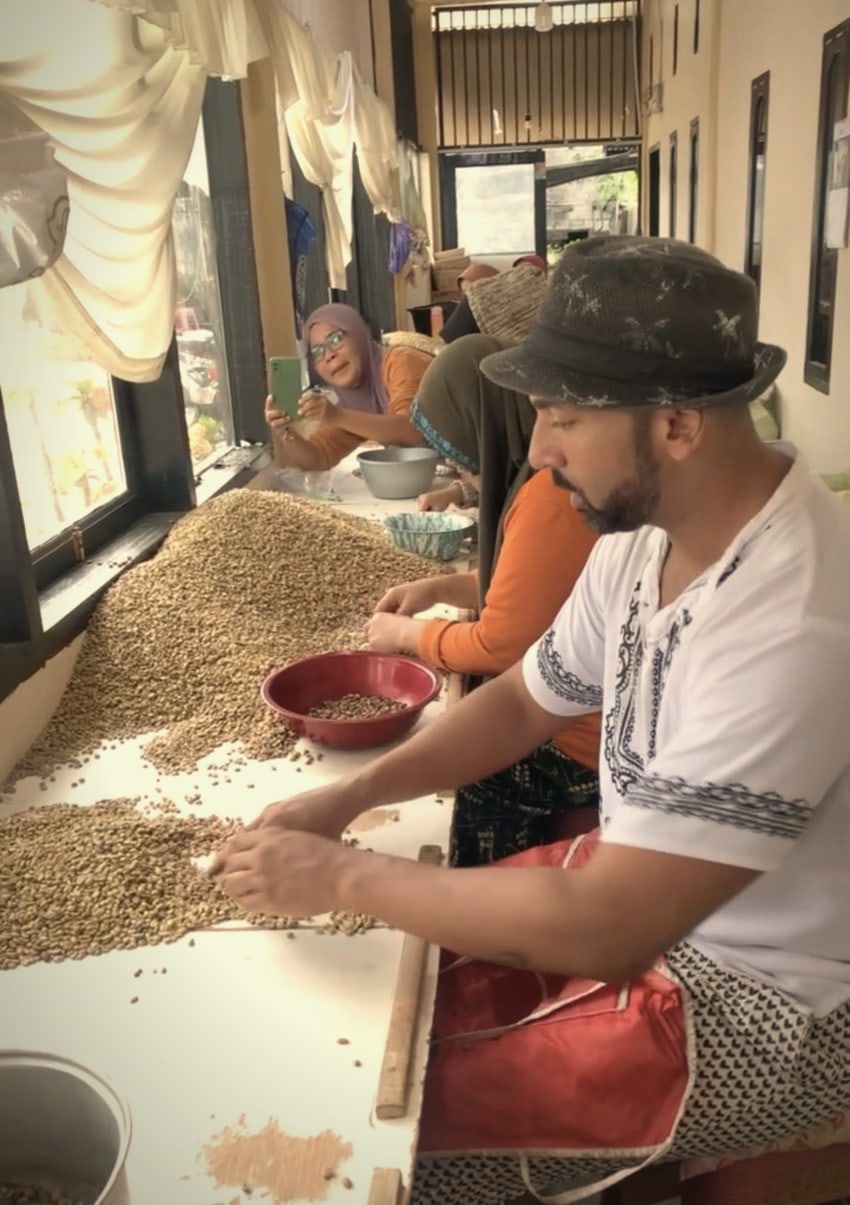Wilder Kopi Luwak wird im Gayo-Hochland von Hand verlesen